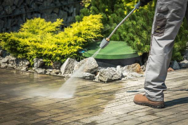 Best Dumpster Area Cleaning  in Arapahoe, NE
